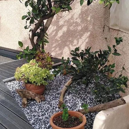 Grande A Les Maures Semesterbostad La Londe-les-Maures